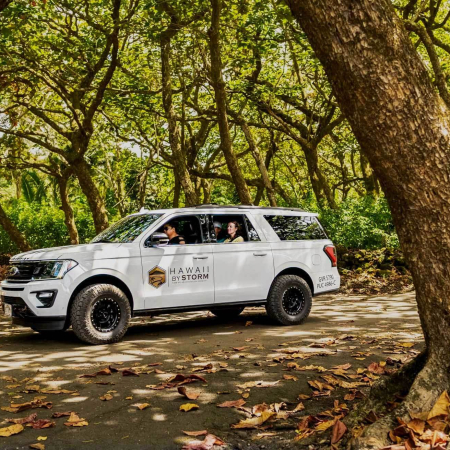 relax in our luxurious private vehicle as we take you on a journey to hana maui hawaii