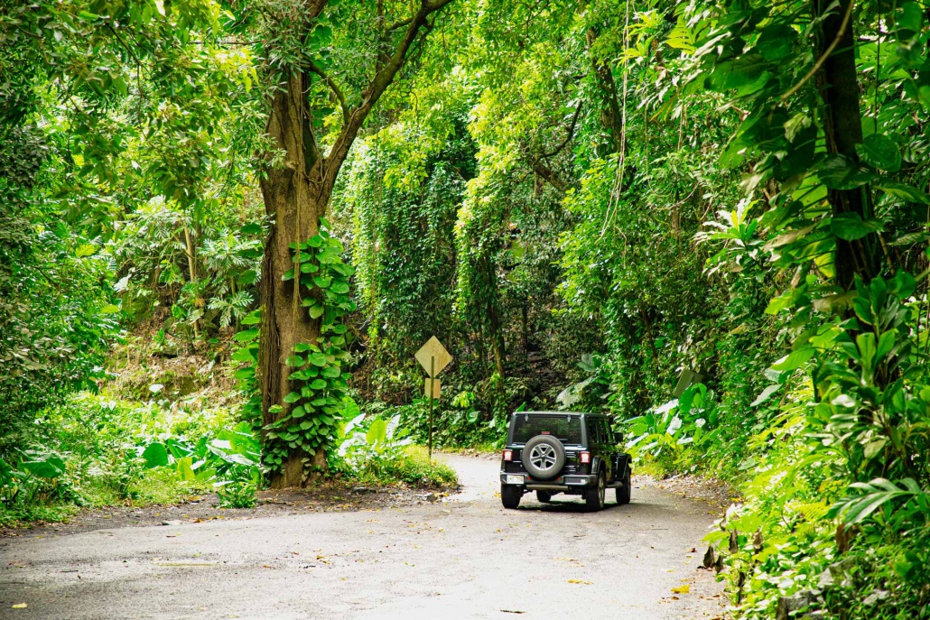 road to hana a great drive through a beautiful area of maui