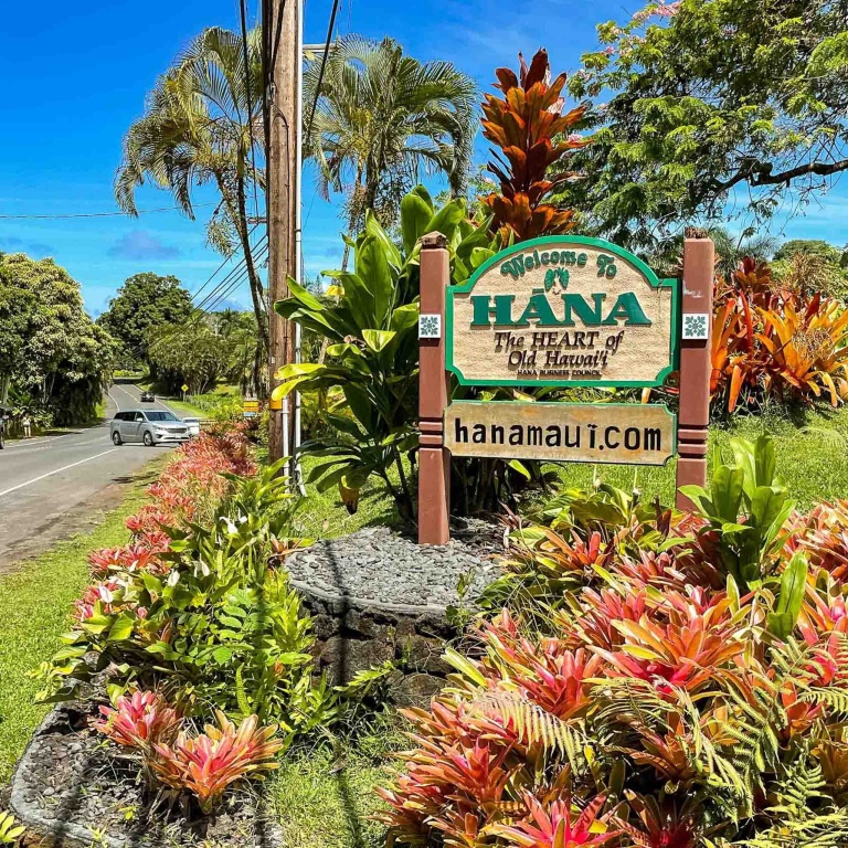 road to hana food fruits and treats 