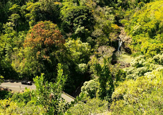 road to hana scenics maui 