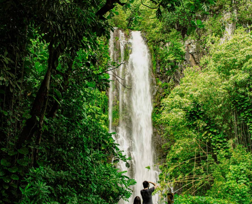 the road to hana waterfall stops maui hawaii