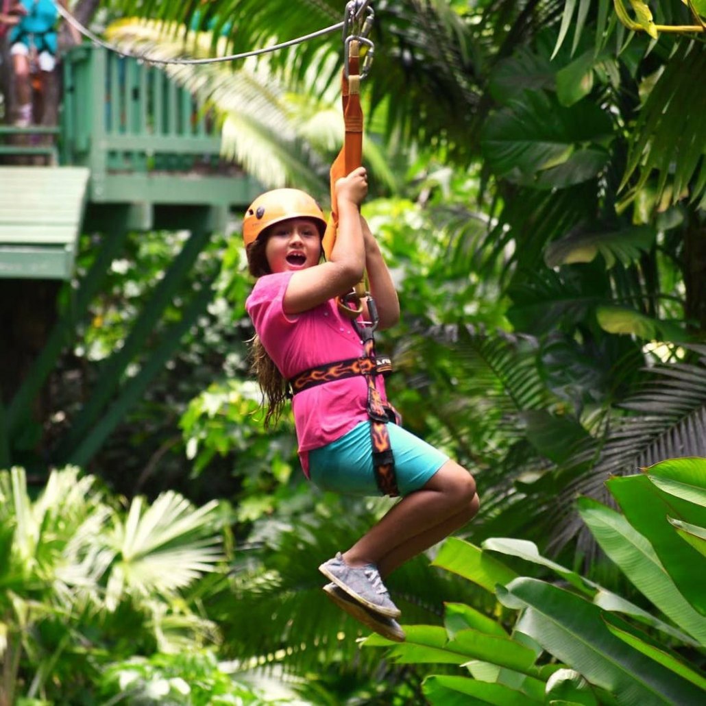 a fun activity for all ages maui jungle zip