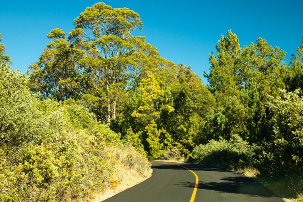 amazing haleakala crater road maui