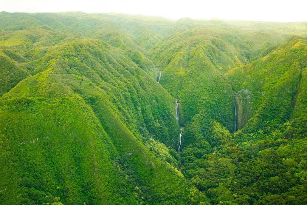 flying over mauis pristine jungle