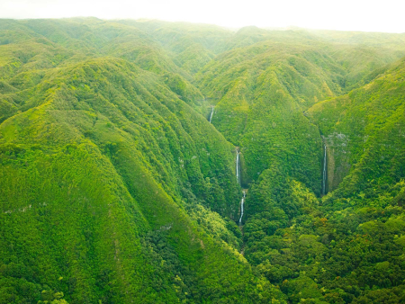 flying over mauis pristine jungle