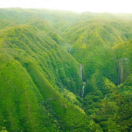 flying over mauis pristine jungle