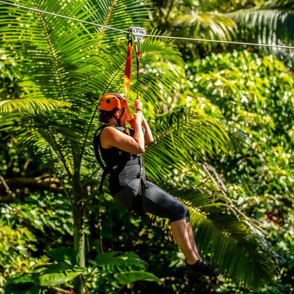 jungle zipline adventure on maui jungle zip