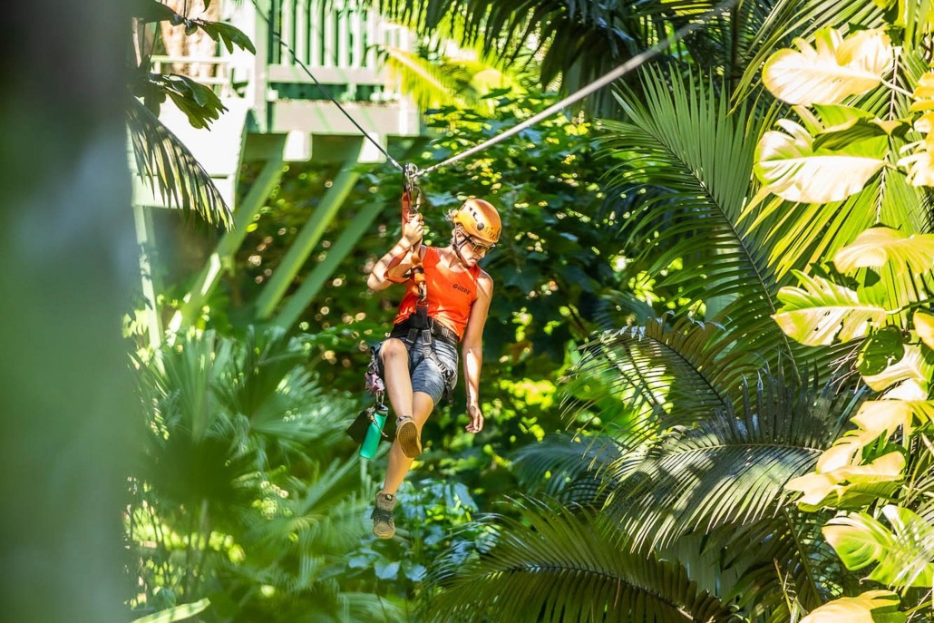 junglezip road to hana jungle zipline tour  lines zipline eco