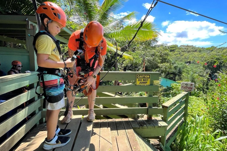 junglezip road to hana jungle zipline tour  line courses