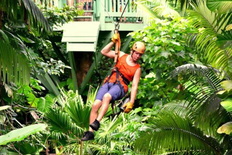 junglezip road to hana jungle zipline tour  line zipline eco tour