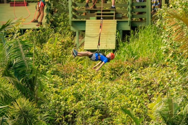 junglezip road to hana jungle zipline tour feature thrilling ride