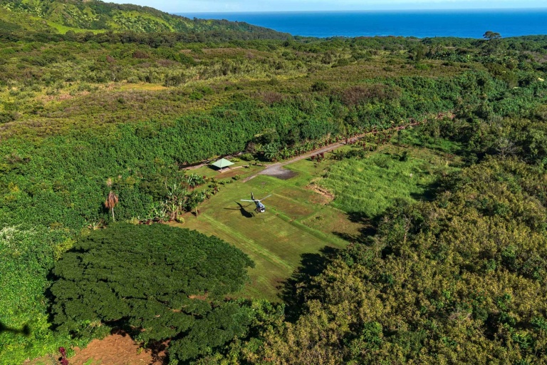 maverickhelicopter hana rainforest experience tour landing site within the hana rainforest