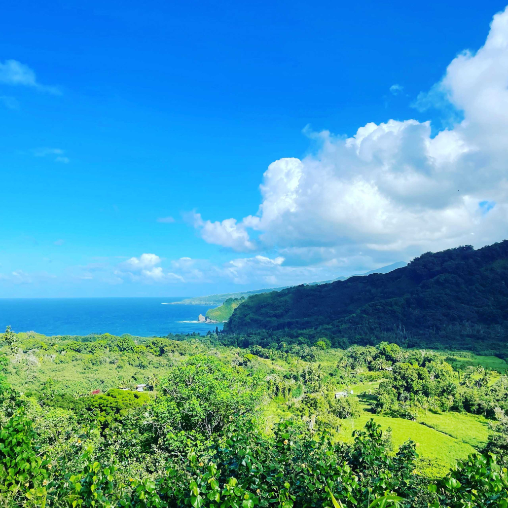epic private road to hana overview