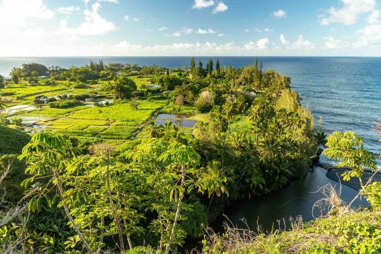 Keanae Peninsula Overlook Road to Hana Maui