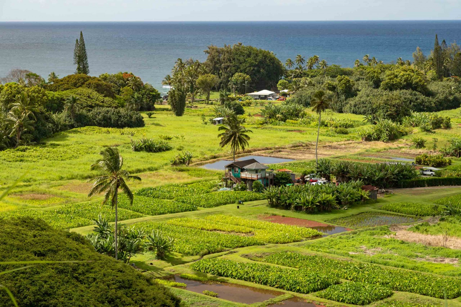 Oahu to Hana Maui Day Tour Scenic Beauty Awaits Road To Hana Tours
