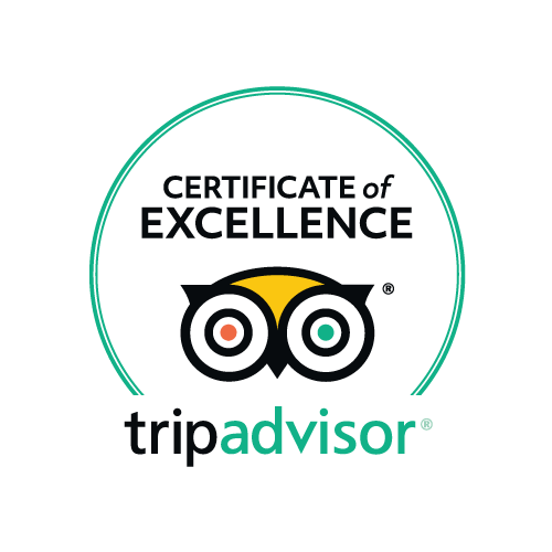 Tripadvisor road tour reviews