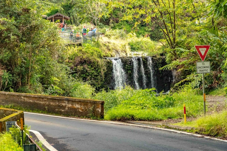 hana small group tour bridge road tohana maui