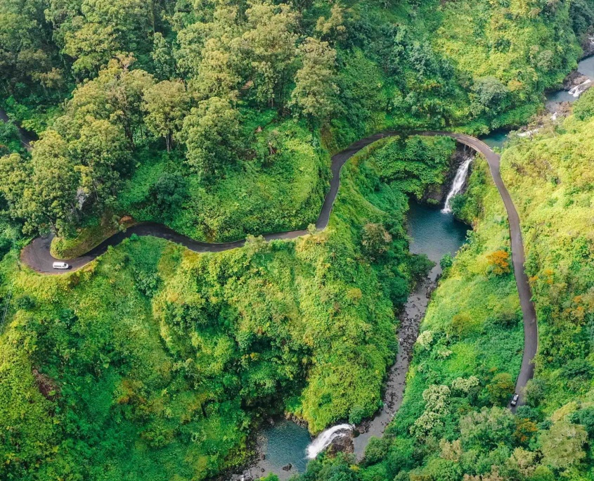 humbletours halfway to hana small group tour the road and the view