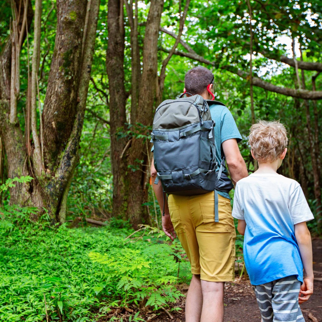 hana combo adventure tour father and son on forest hike