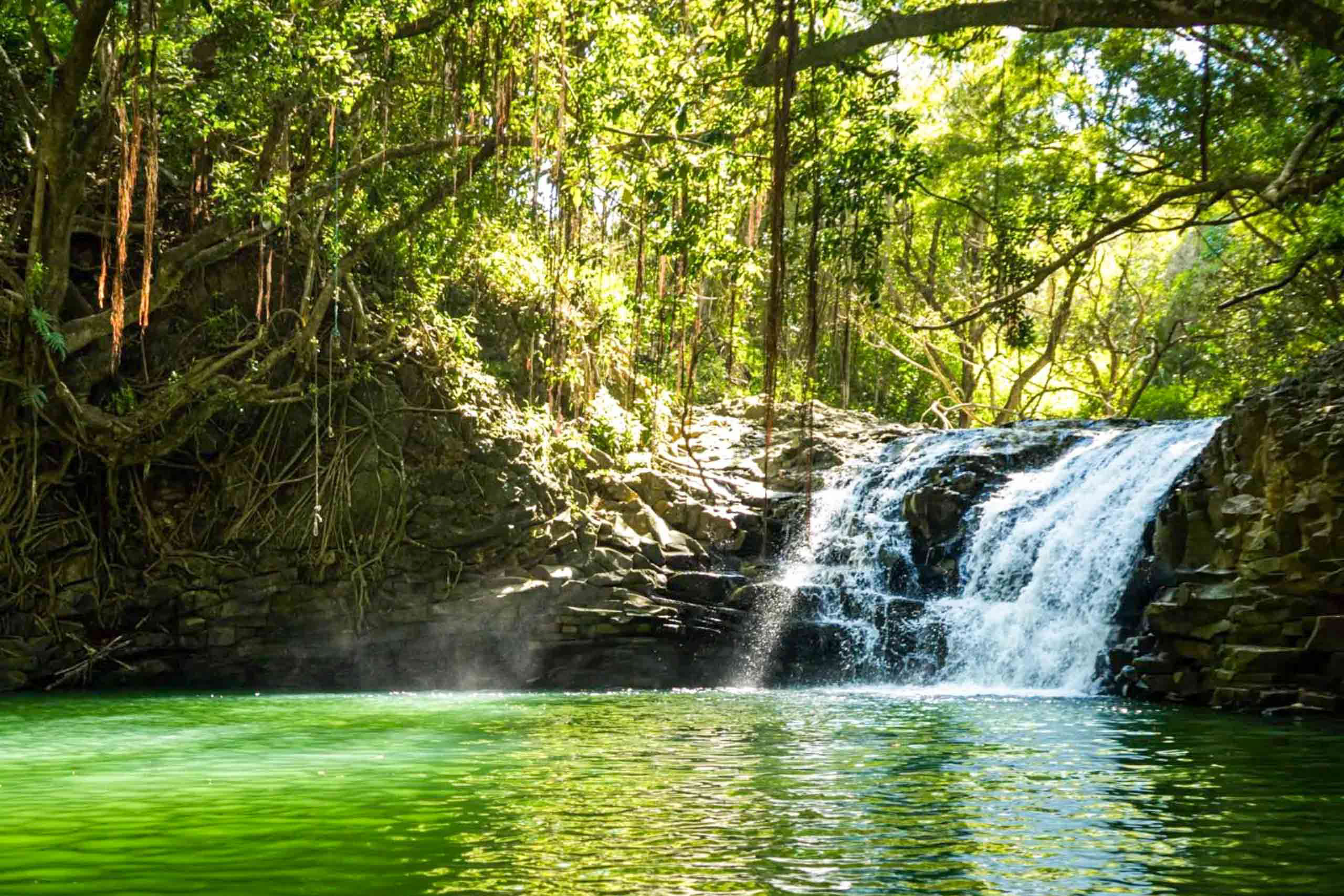 hikemaui maui waterfall rainforest hike waterfall stream