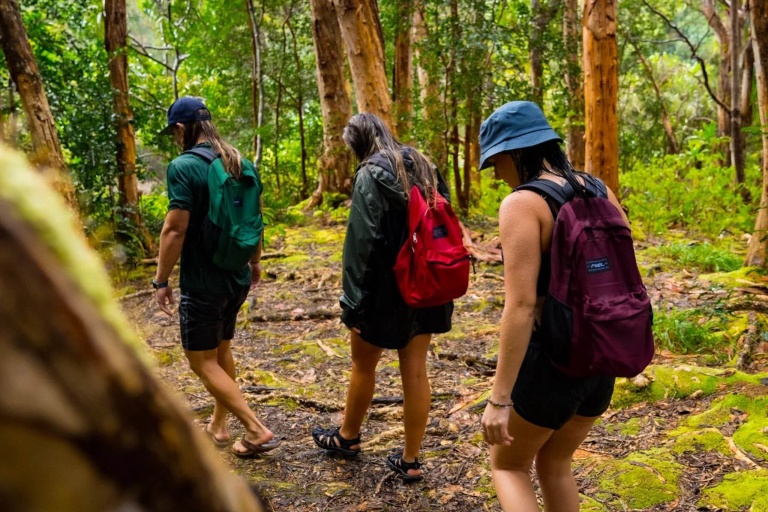 hikemaui private hana hiking tour private tour walking forest