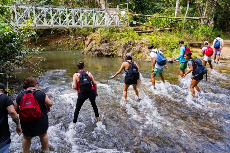 hikemaui private hana hiking tour stream