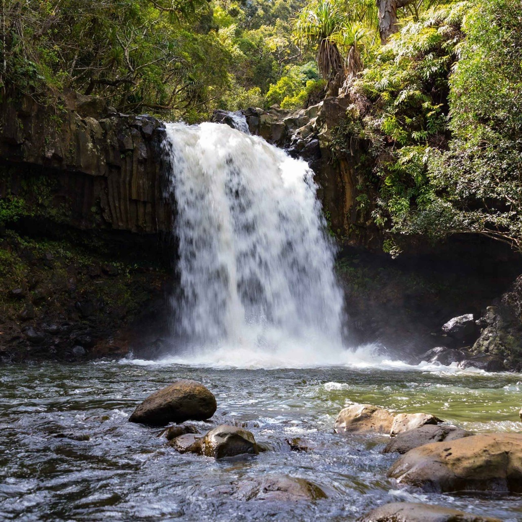 hikemaui private hana hiking tour waterfall slide