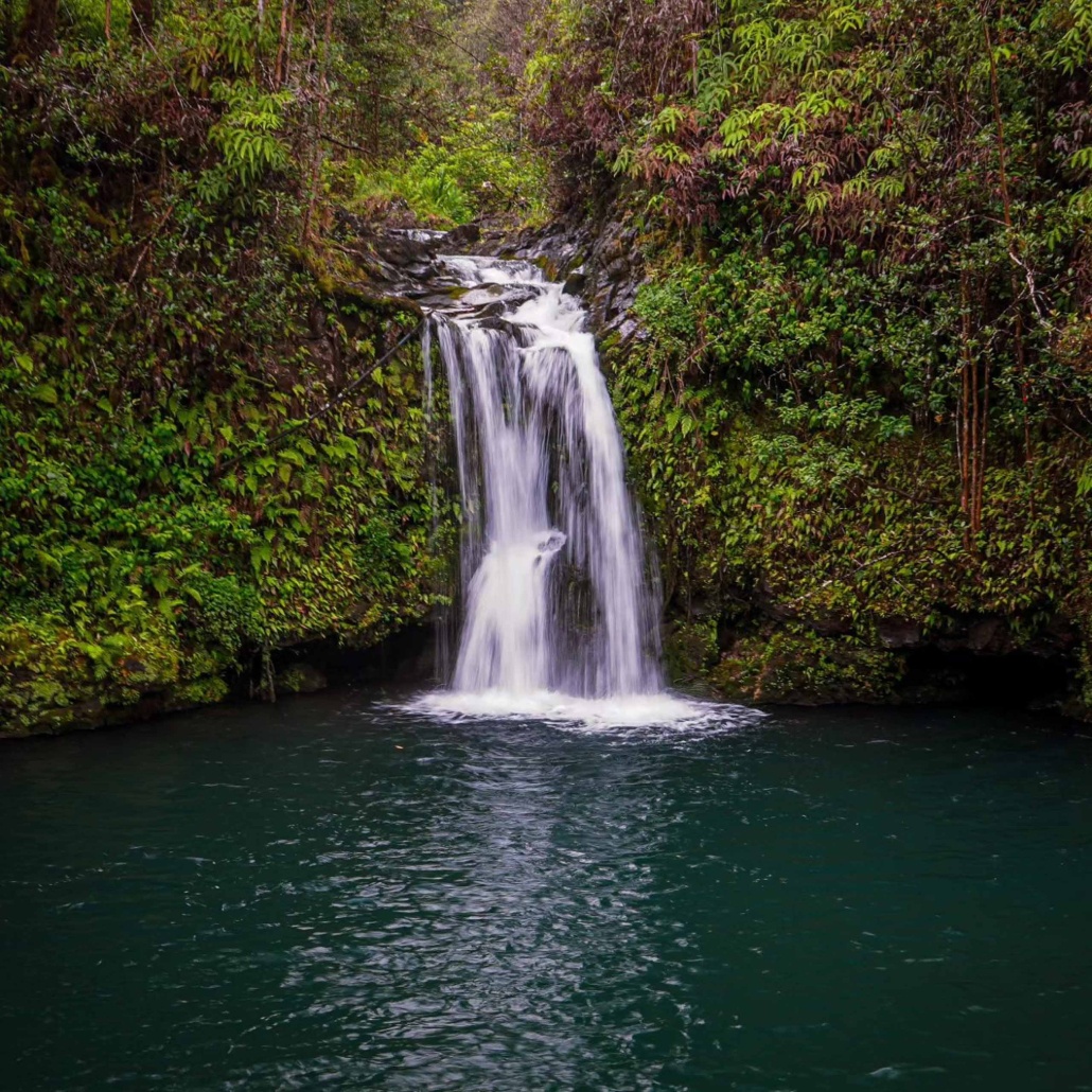 hikemaui private hana hiking tour waterfalls slide