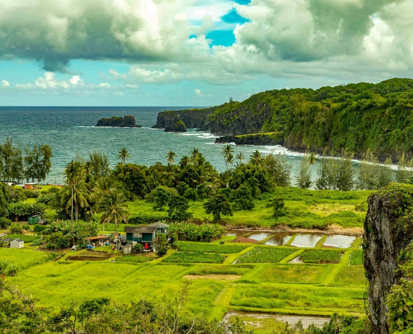 rainforest views coastal overlooks keanae peninsula taro farm