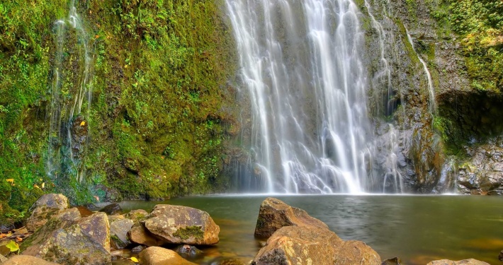 holoholomauitours guests waterfall