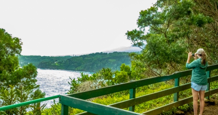 rainforest views coastal overlooks kaumahina wayside overlook hana highway maui