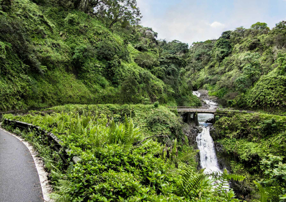 halfway to hana road maui road to hana